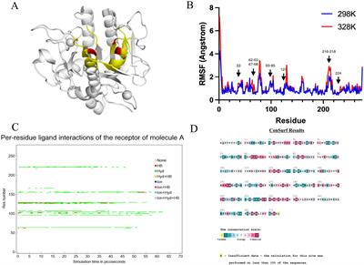 Modification of the active centre of nattokinase to enhance its thermostability using a strategy based on molecular dynamics simulation, steered dynamics simulation, and conservative prediction